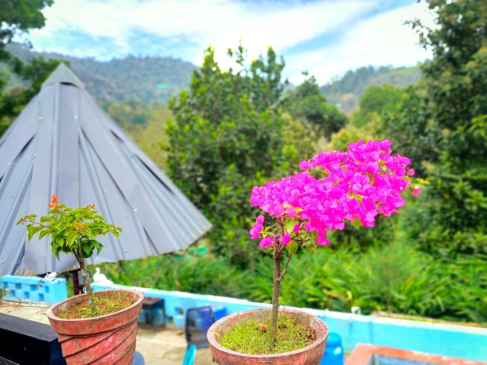 Mistey Valley Munnar Villa Anachal Extérieur photo