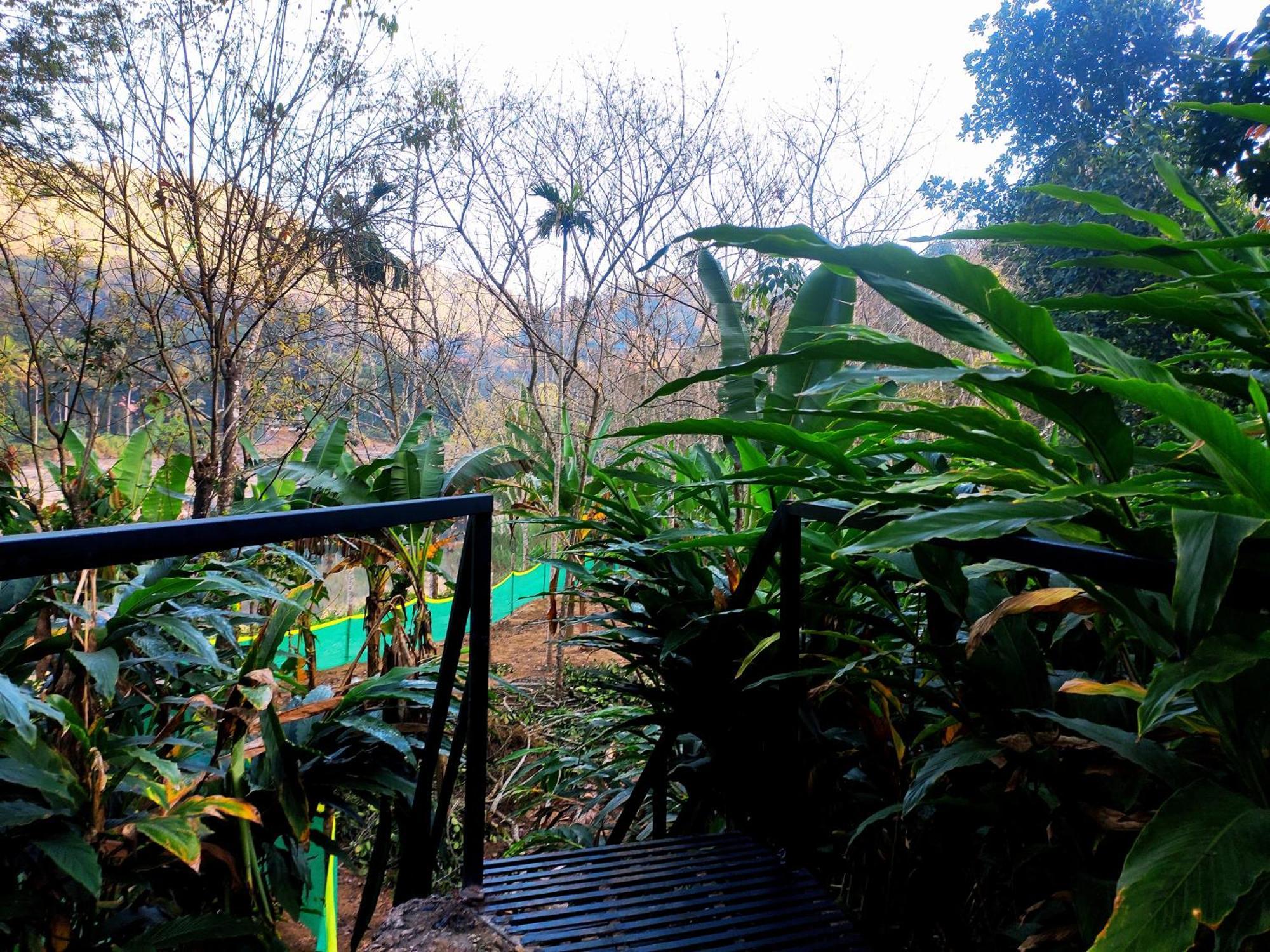 Mistey Valley Munnar Villa Anachal Extérieur photo